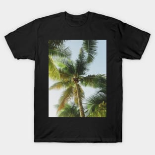 Palm tree T-Shirt